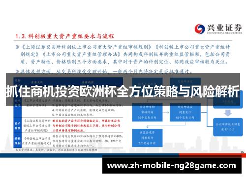 抓住商机投资欧洲杯全方位策略与风险解析 抓住商机投资欧洲杯全方位策略与风险解析