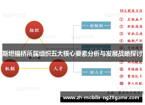 斯坦福桥所属组织五大核心要素分析与发展战略探讨 斯坦福桥所属组织五大核心要素分析与发展战略探讨