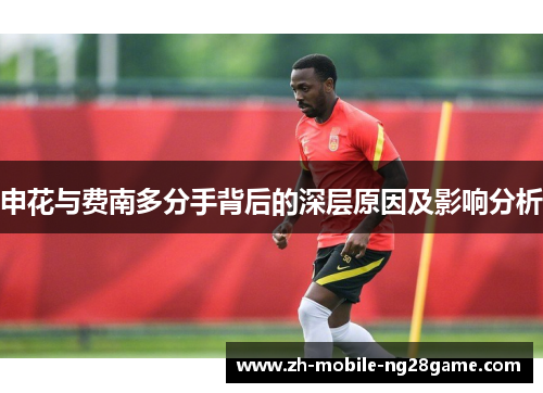 申花与费南多分手背后的深层原因及影响分析