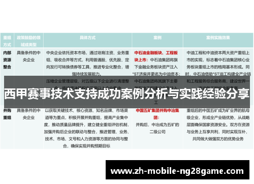西甲赛事技术支持成功案例分析与实践经验分享