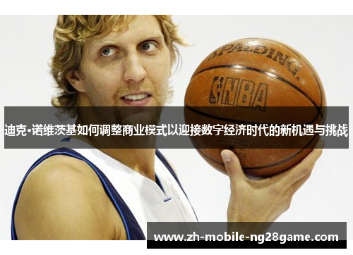 迪克·诺维茨基如何调整商业模式以迎接数字经济时代的新机遇与挑战