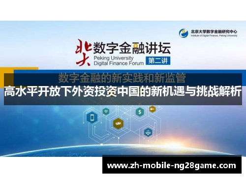 高水平开放下外资投资中国的新机遇与挑战解析